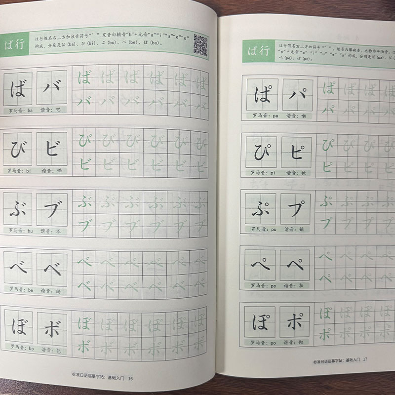 Chinese Calligraphy Practice Book - Japanese Hiragana & Katakana Practice Copybook