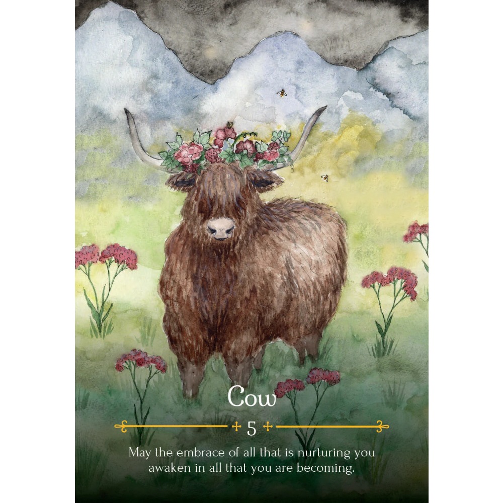11*6.5cm Season of Witch Oracl - Tarot Deck With Guidebook 评论和价格